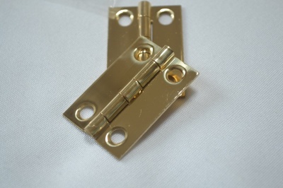 1'' Polished Solid Brass Hinges (pair)